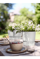 Greenville rond groen S