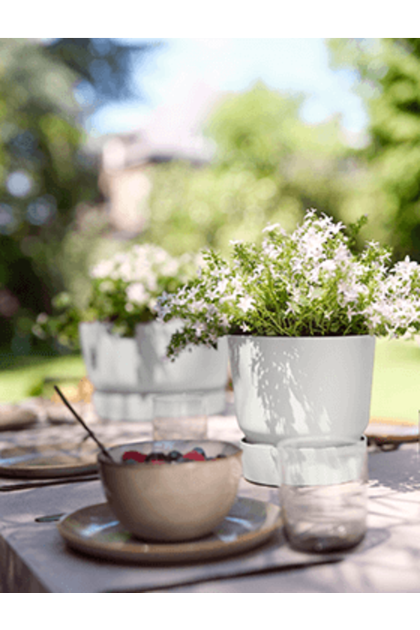 Greenville rond groen S