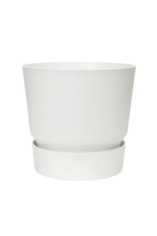 Greenville rond vert S