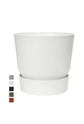 Greenville rond blanc S