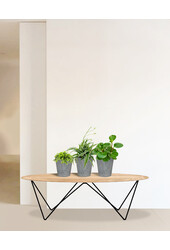 Plantenpakket vetplanten in Artstone