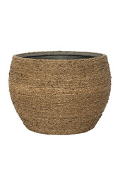 Abby herbe de paille S