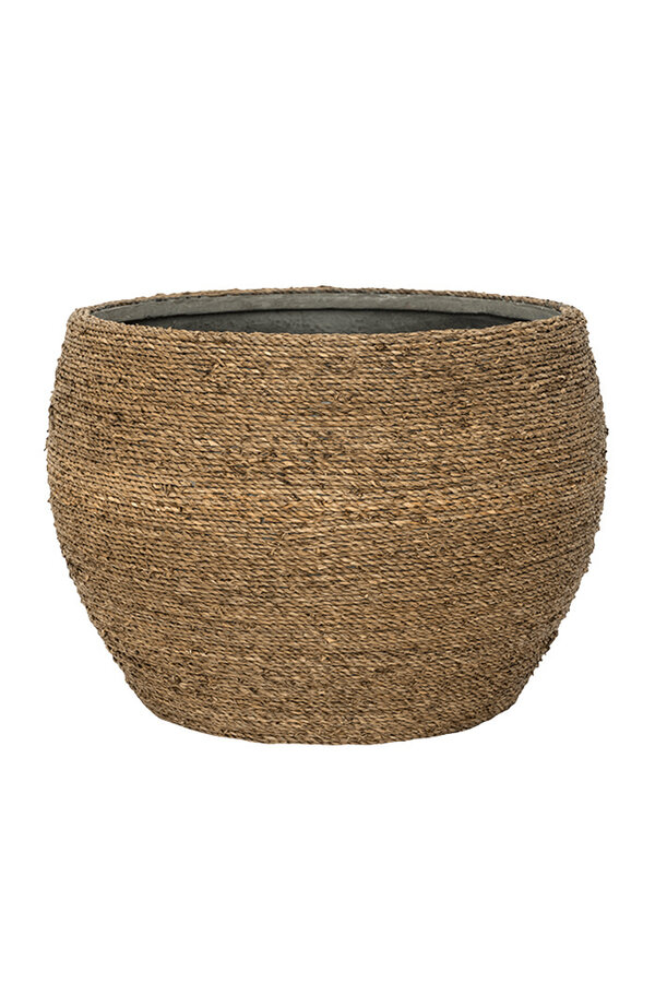 Abby herbe de paille S