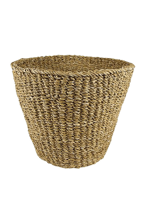 Pot en herbe marine L