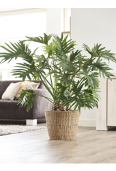 Zeegras Pot L