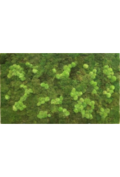 Tableau de mousse 100x200