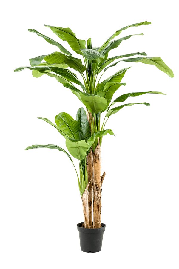 Bananier plante artificielle