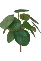 Pilea kunstplant