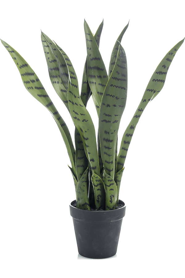 Sansevieria Kunstplant - Copy