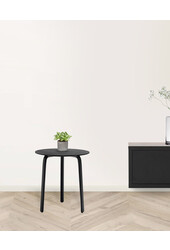 Mini-plante Fittonia dans un pot en céramique