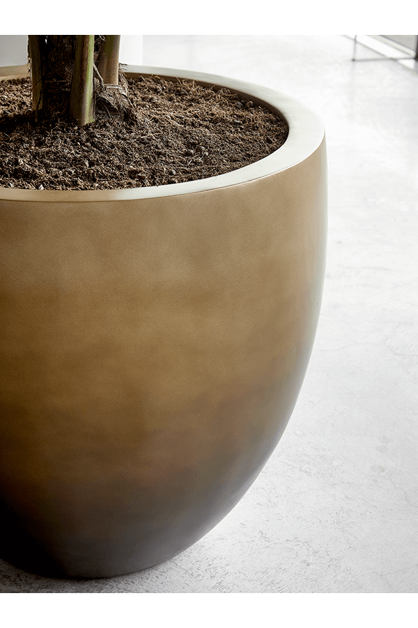 Baq Gradient Balloon Matt Honey