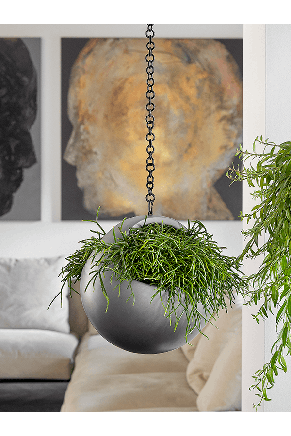 Baq Gradient Panier suspendu gris mat