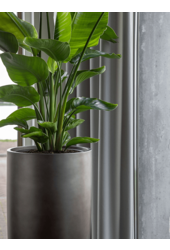 Baq Gradient Partner Matt Coffee (avec bac intérieur)