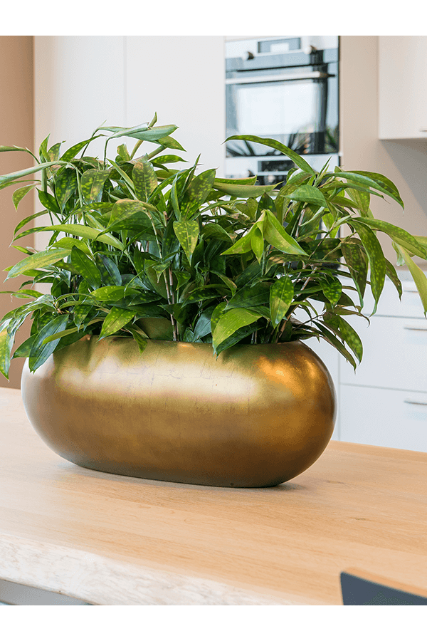 Baq Metallic Silver Leaf Boat matt honey