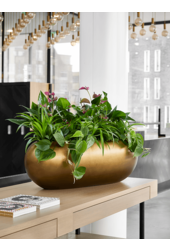 Baq Metallic Silver Leaf Boat matt honey