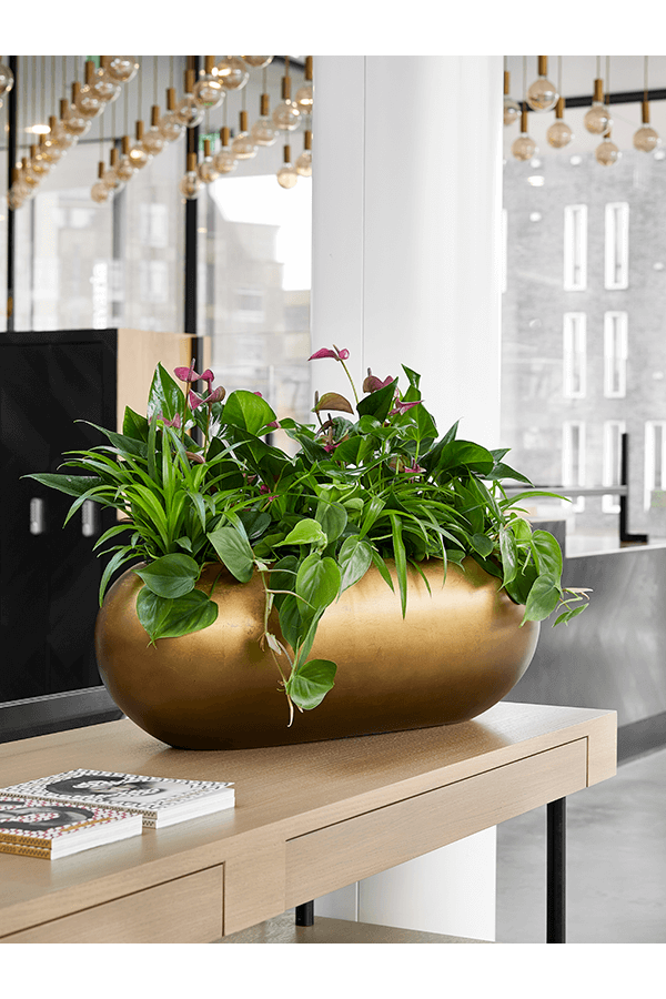 Baq Metallic Silver Leaf Boat matt honey