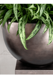 Baq Metallic Silver Leaf Bowl matt coffee