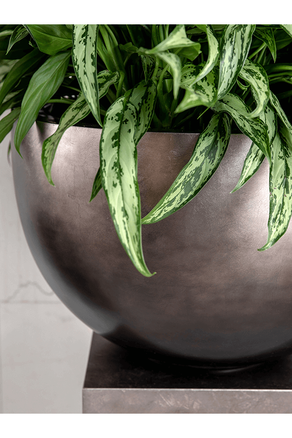 Baq Metallic Silver Leaf Bowl matt coffee