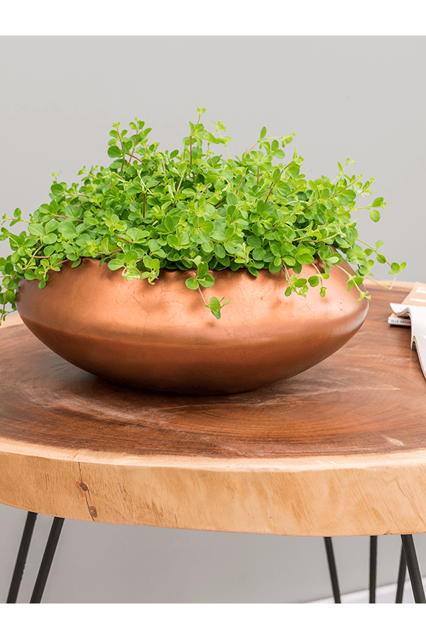 Baq Metallic Silver Leaf Bowl Ufo Matt Copper