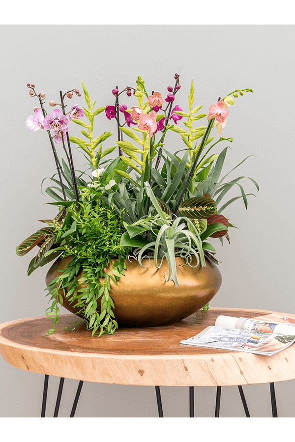 Baq Bol Feuille d'Argent Métallique Ufo Mat Miel