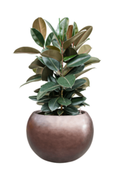 Baq Metallic Silver Leaf Globe matt coffee (met inzetbak)