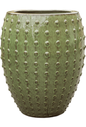 Laos Emperor Green