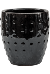 Laos Mini Emperor Black