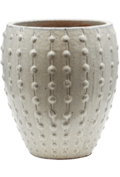 Laos Mini Emperor Cream