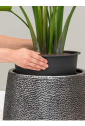 Baq Opus Hit Darcy Gold (avec bac intérieur)