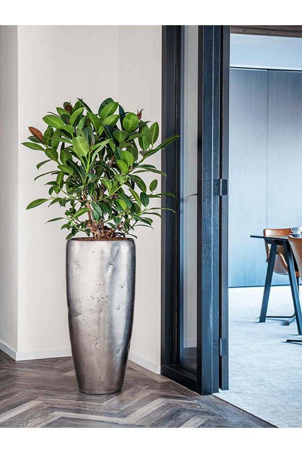 Baq Opus Raw Partner silver (met inzetbak)