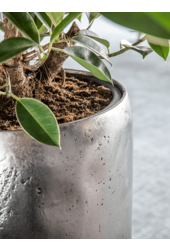 Baq Opus Raw Partner silver (met inzetbak)