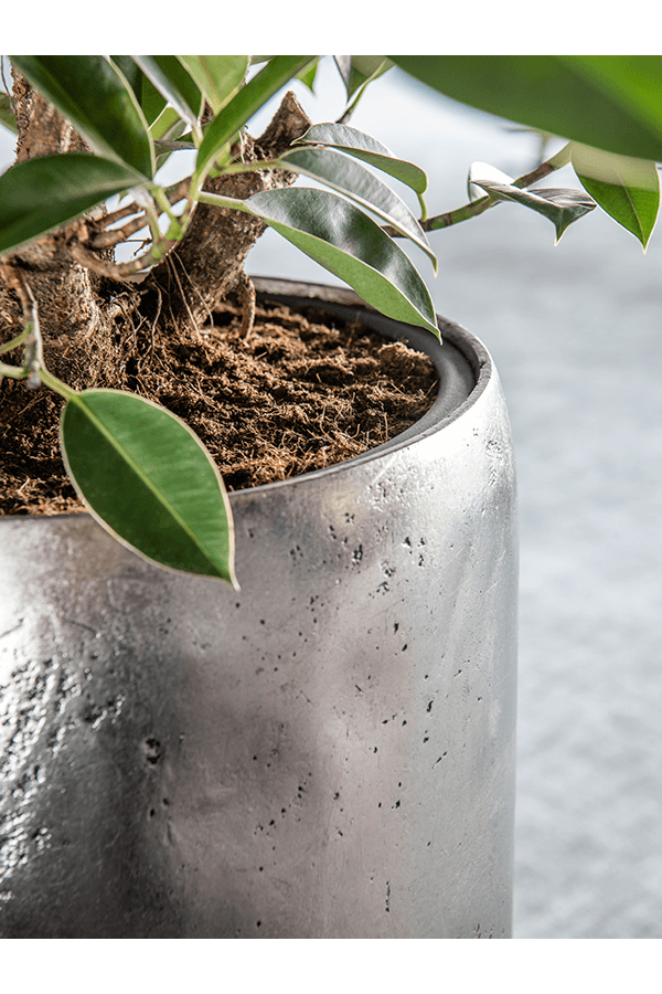 Baq Opus Raw Partner silver (met inzetbak)