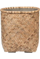 Bohemian Zayn S Bamboo