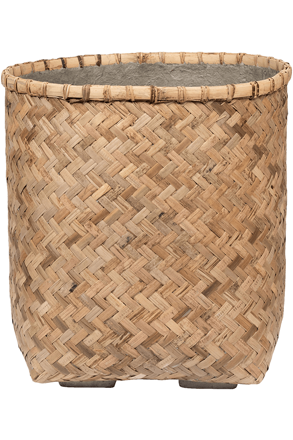 Bohemian Zayn S Bamboo