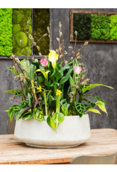 Baq Bol Goutte de Pluie Beige