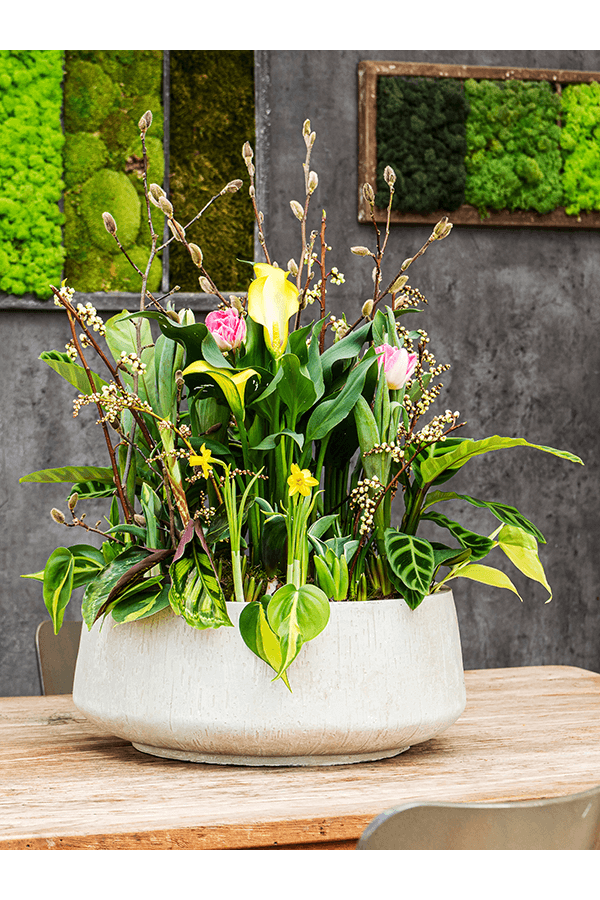 Baq Bol Goutte de Pluie Beige