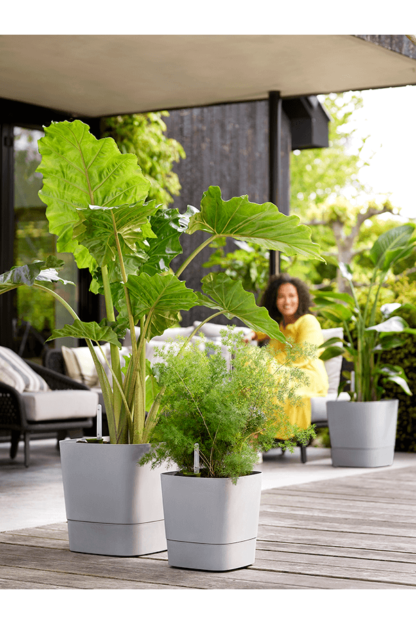 Greensense Aqua Care Carré Béton Clair