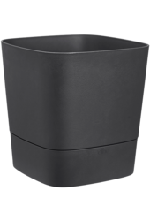 Greensense Aqua Care Carré Anthracite