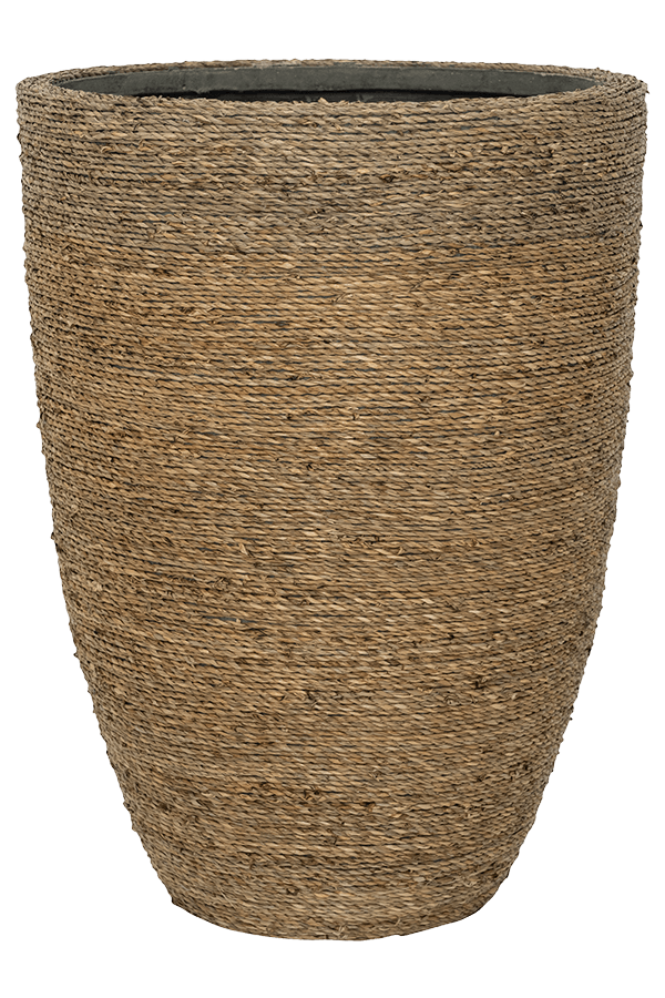 Bohemian Ben XL Herbe de paille