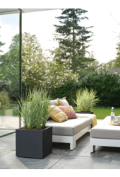 Vivo Next Square Living Black