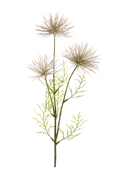 Anemone Seed kunstplant