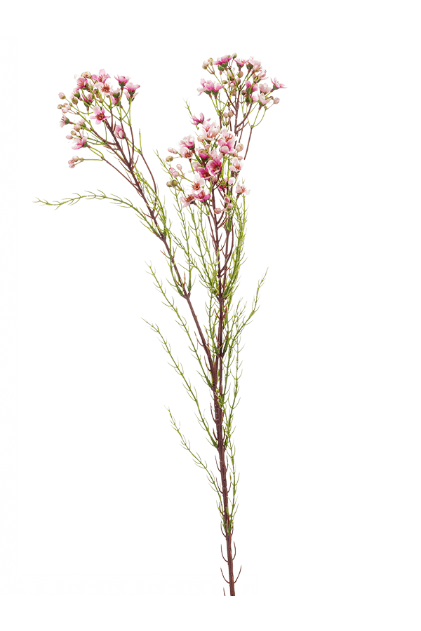 Wax Flower kunstplant