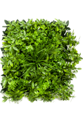 Schefflera kunstplant