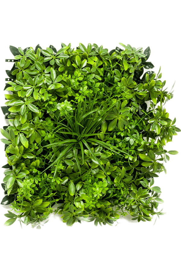 Schefflera kunstplant