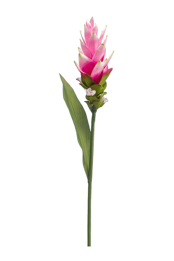 Curcuma kunstplant