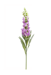 Plante artificielle Digitalis