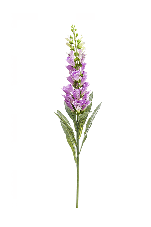 Plante artificielle Digitalis
