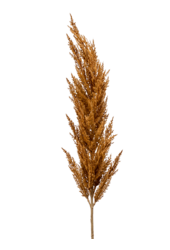 Grass Pampas kunstplant