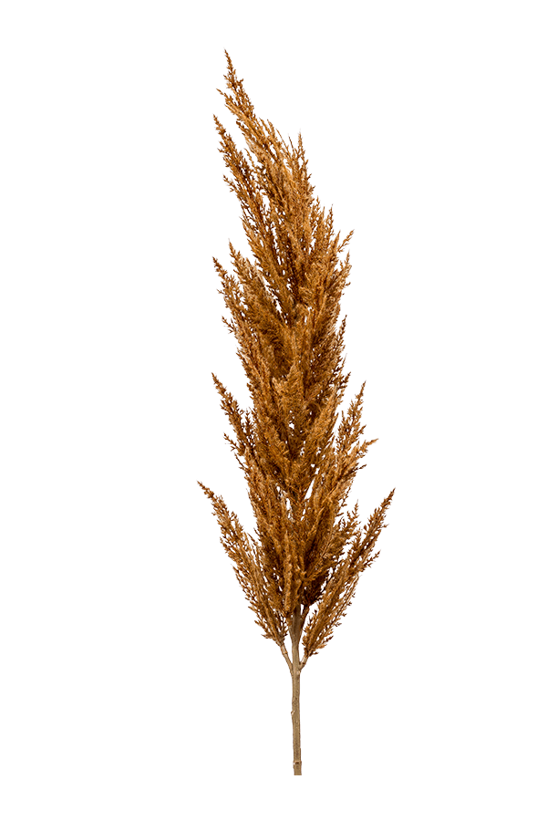 Grass Pampas kunstplant