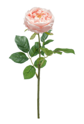 Plante artificielle Rose Jenny RT